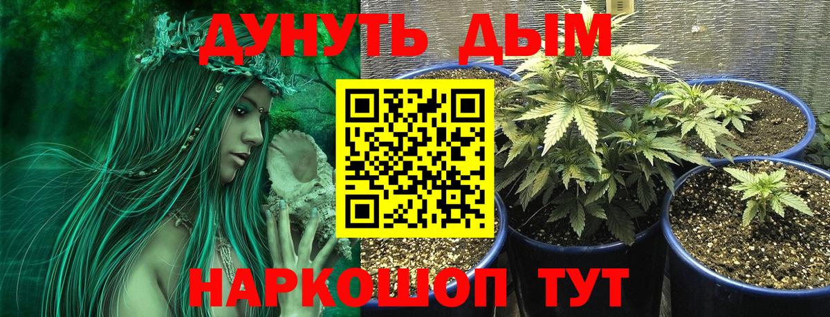 Марихуана OG Kush  Конопля AK-47  Вход с VPN  Богородск  Канабис Ganja 